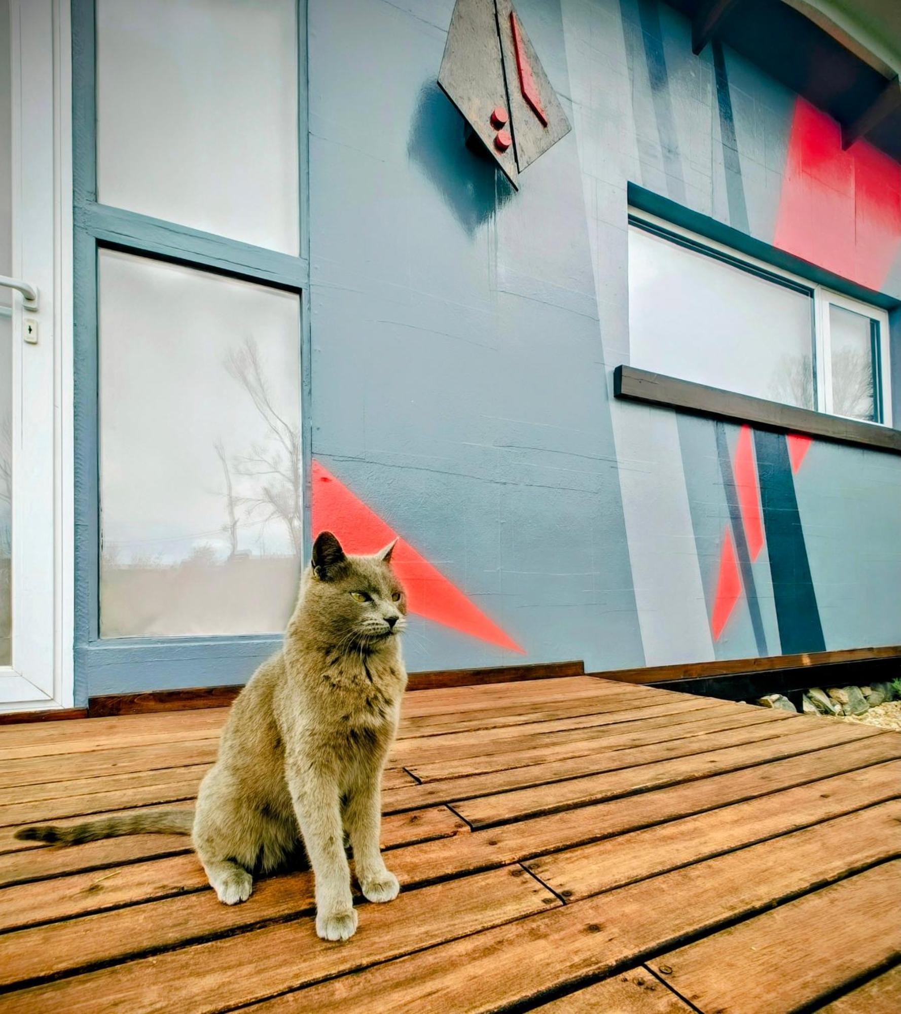 Willa Casa Faro Arte Potrerillos Zewnętrze zdjęcie