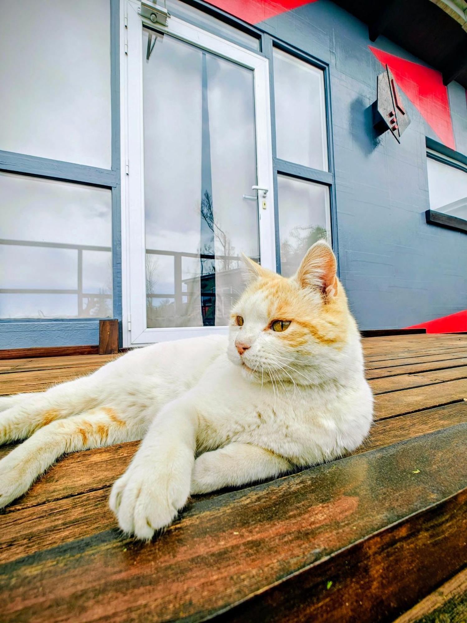 Willa Casa Faro Arte Potrerillos Zewnętrze zdjęcie